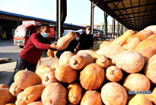 河南春节市场农产品供应充足